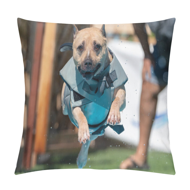 Personality  Am Staff Dog In A Gray Floatation Vest Jumping Into A Pool Pillow Covers