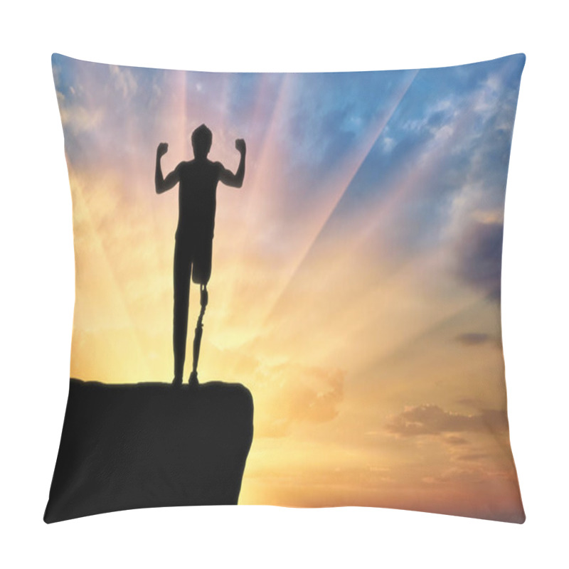 Personality  Disability And Rehabilitation Pillow Covers