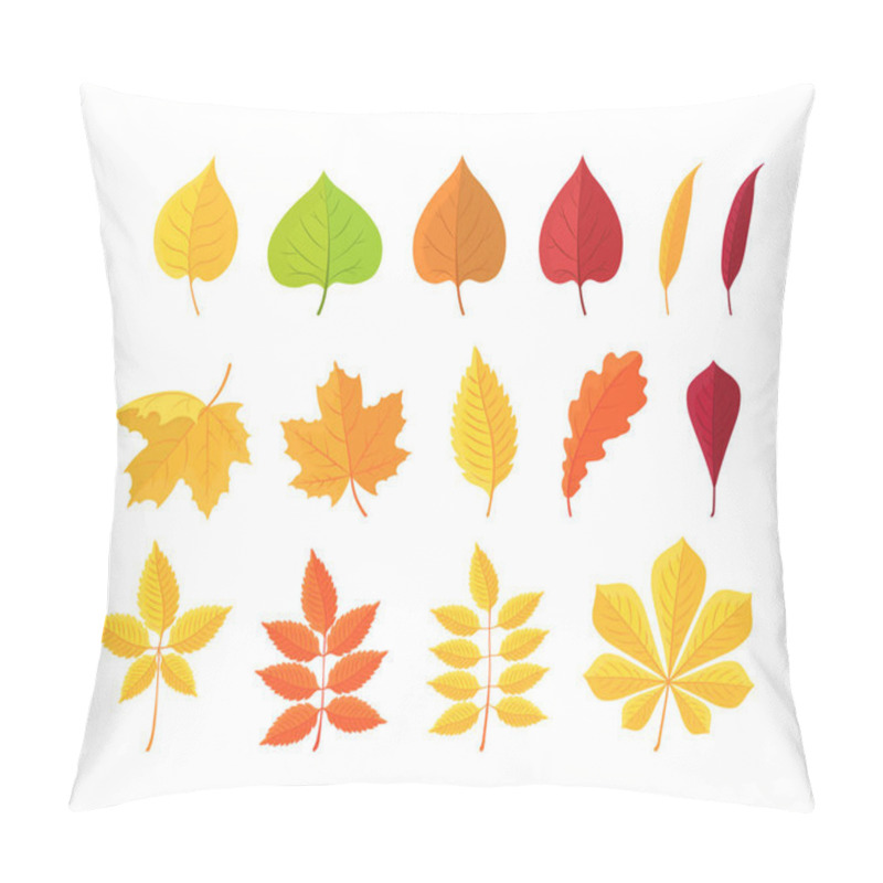 Personality  Botanical Set Of Bright Autumn Leaves. Vector Illustration. Pillow Covers