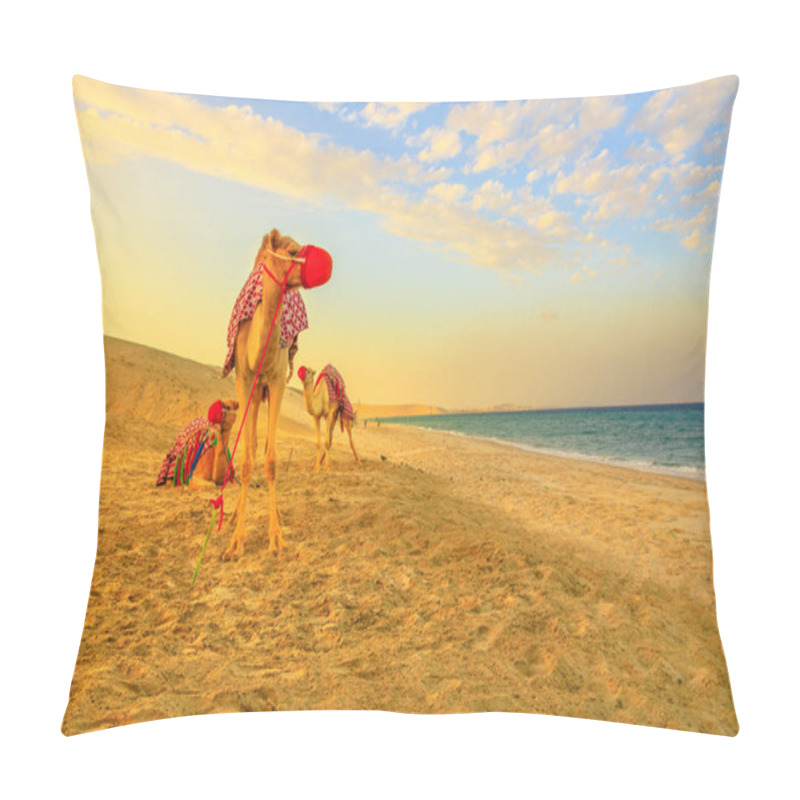 Personality  Three Camels On The Beach Pillow Covers