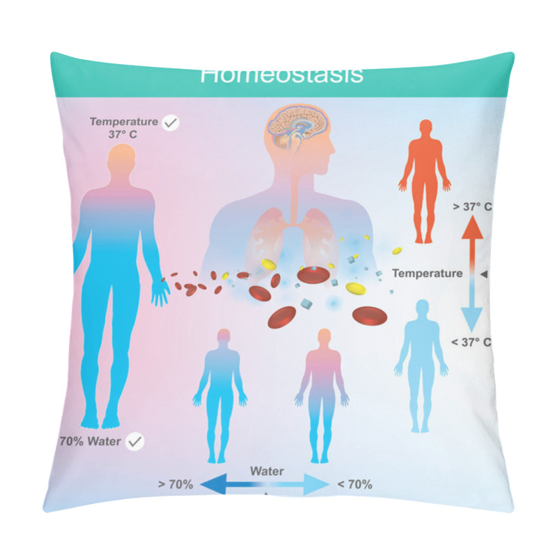 Personality  The Human Needs Water And Body Temperature In The Right Amount. The Nervous System And The Brain Respond To Changes When Such Abnormalities Are Detected. Pillow Covers