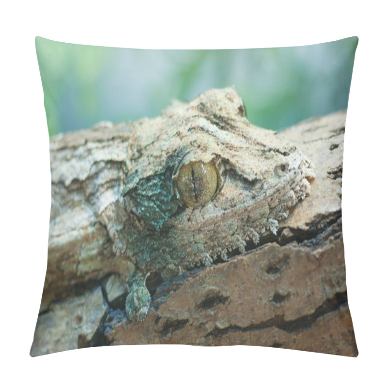 Personality  Giant Leaf-tail Gecko, Marozevo, Pillow Covers