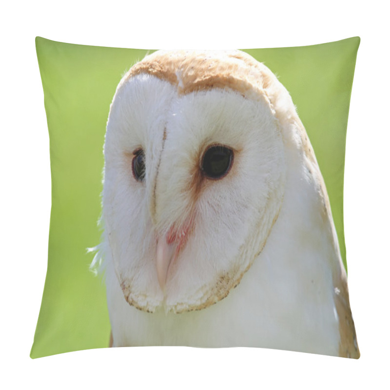 Personality  White Barn Owl With Dark Eyes Pillow Covers