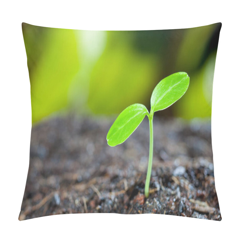 Personality  Green Sprout Growing From Seed In Organic Soil Pillow Covers