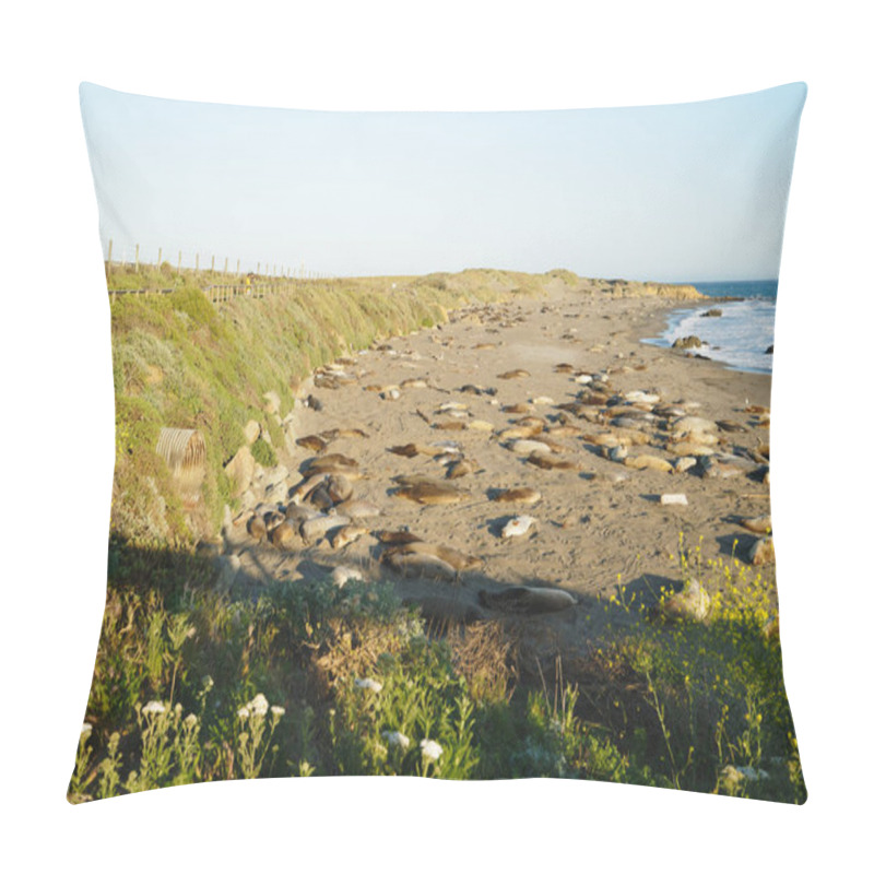 Personality  Northern Elephant Seals On The Beach, Mating And Birthing Season, Piedras Blancas, San Simeon, California. Pillow Covers