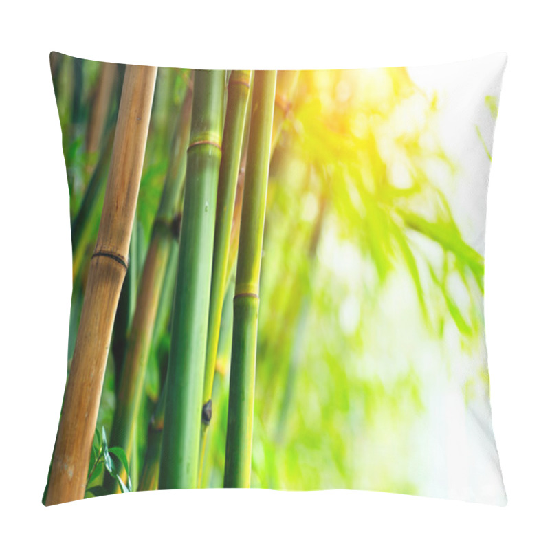 Personality  Bamboo Forest Pillow Covers