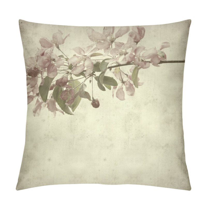 Personality  Old Paper Background With Spring Blossoms Pillow Covers