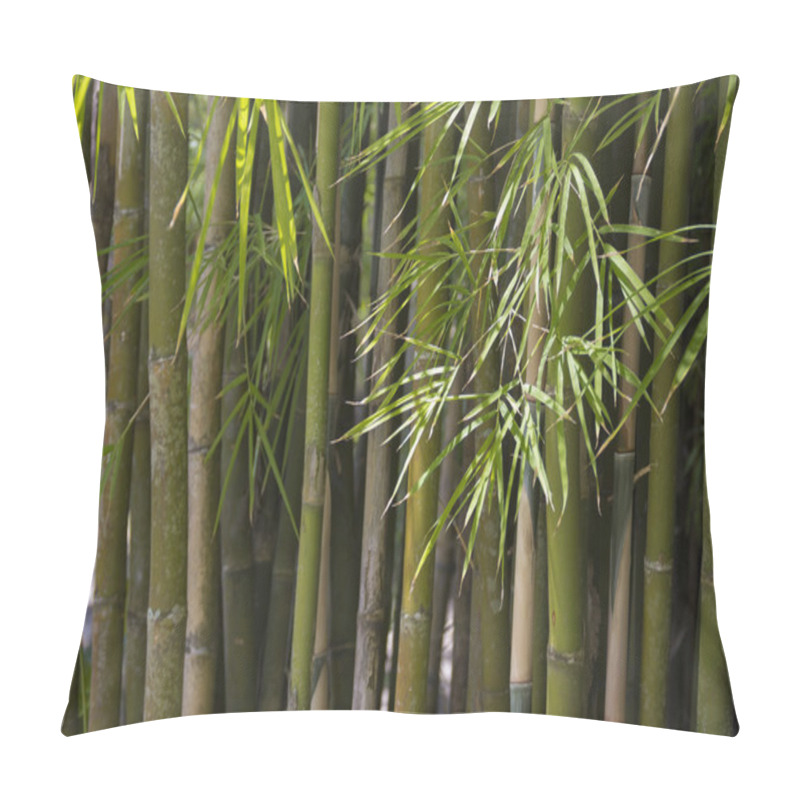 Personality  Bamboo Forest Pillow Covers