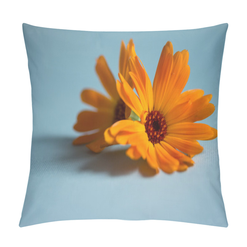 Personality  Blossoms Of Calendulas Pillow Covers