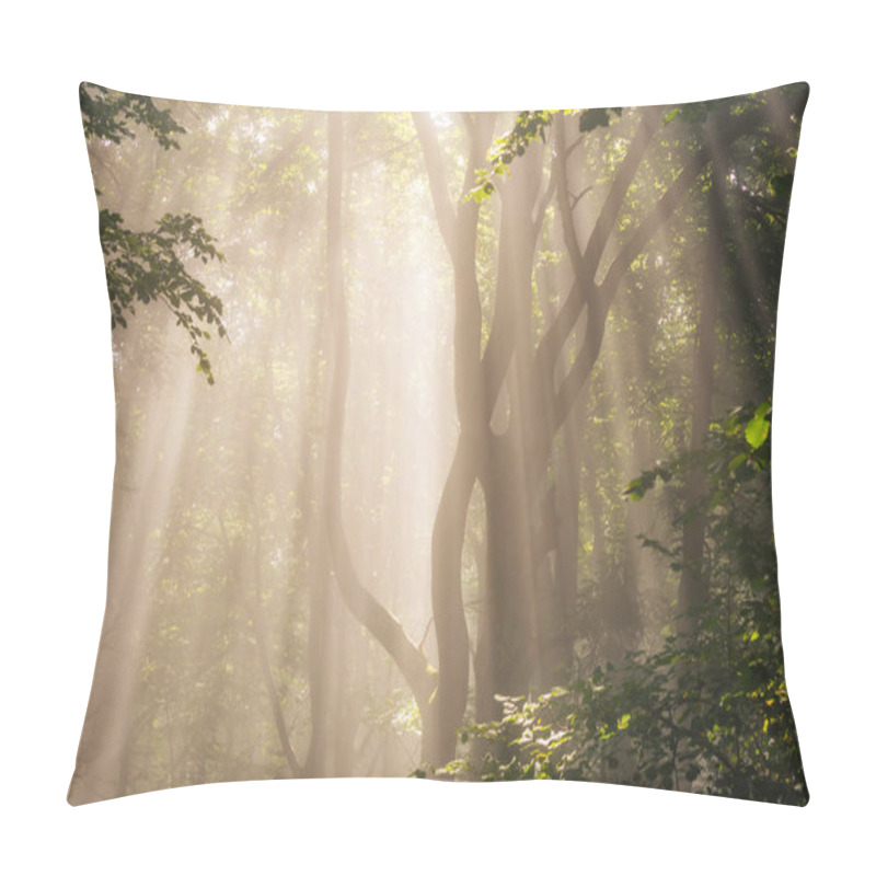 Personality  Morning Sun Rays In Green Forest  Pillow Covers