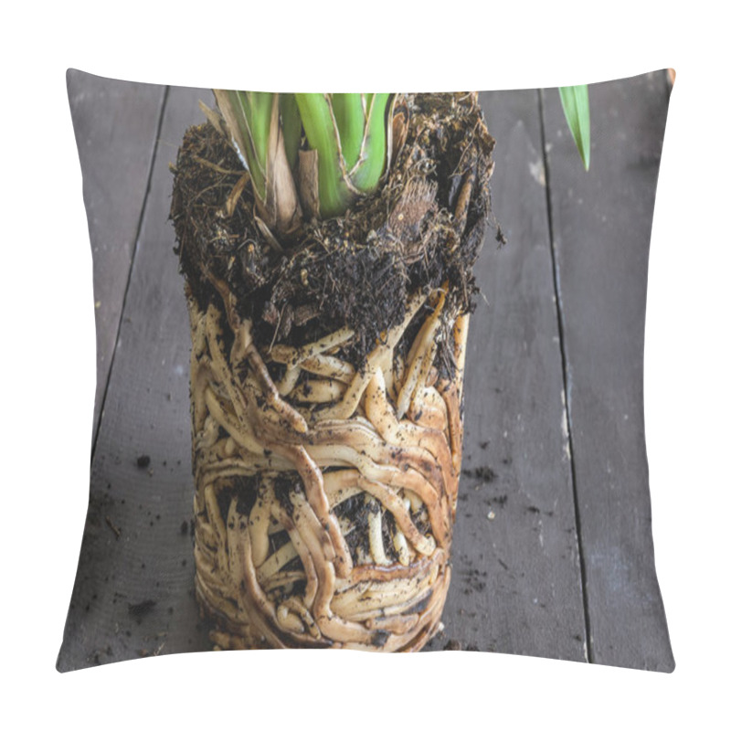 Personality  Interlaced Home Orchid Flower Roots Pillow Covers