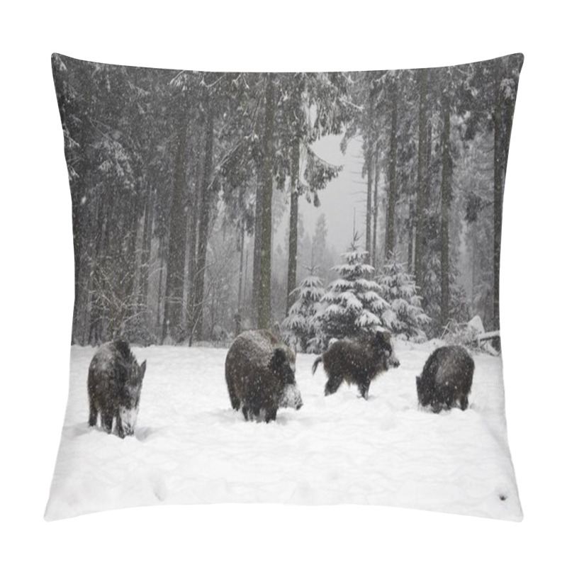 Personality  Wild Boars Pigs In Winter Forest Pillow Covers