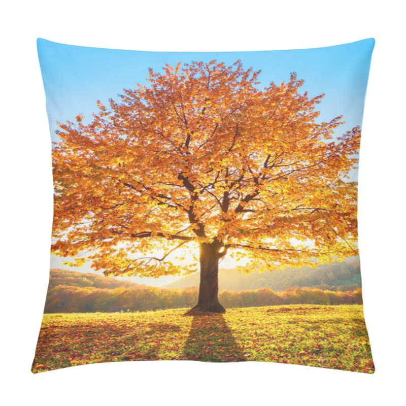 Personality  On The Lawn Covered With Leaves At The High Mountains There Is A Lonely Nice Lush Strong Tree And The Sun Rays Lights Through The Branches With The Background Of Blue Sky. Beautiful Autumn Scenery. Pillow Covers