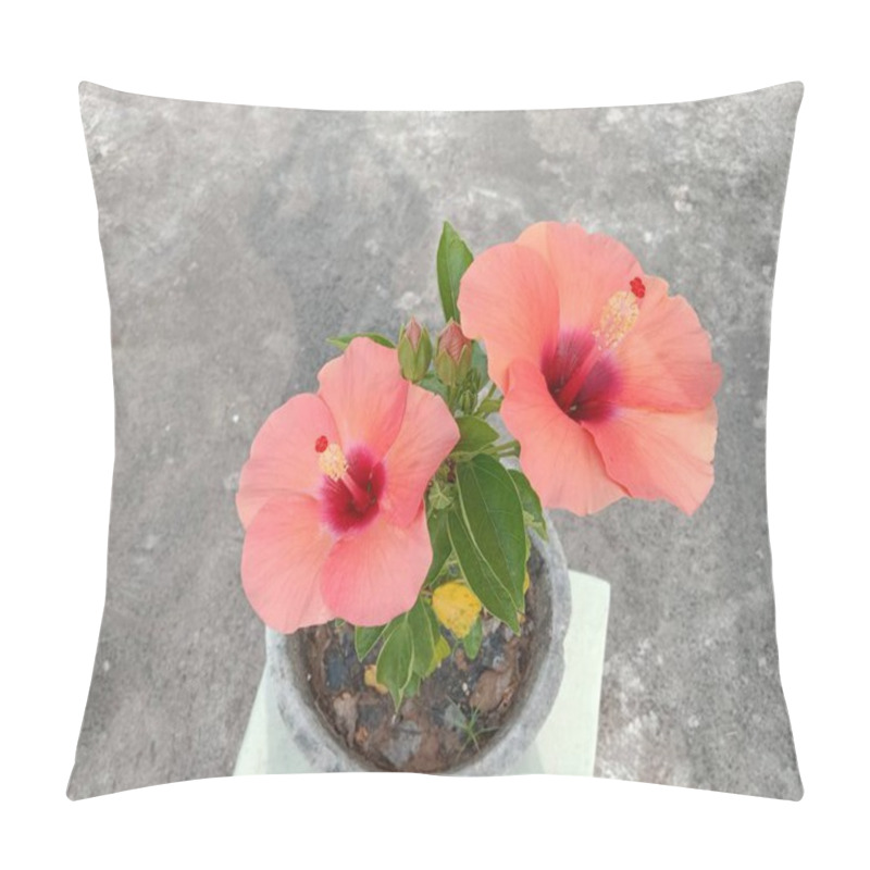 Personality  Hibiscus Flowers In Full Bloom Showcasing Vibrant Pink Centers. Perfect For Floral, Botanical, And Nature Themes. Pillow Covers