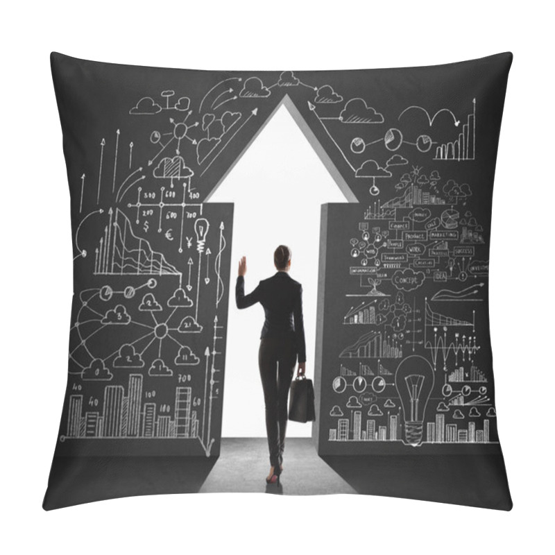 Personality  Businesswoman And Business Plan Pillow Covers