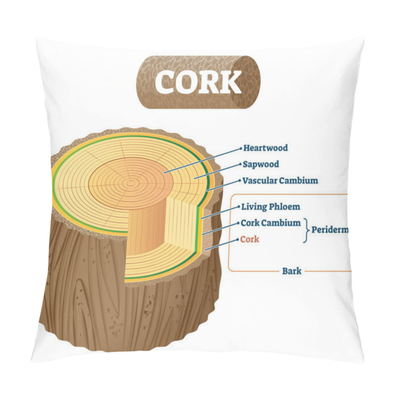 Personality  Cork As Natural Material Cross Section Labeled Structure Vector Illustration Pillow Covers