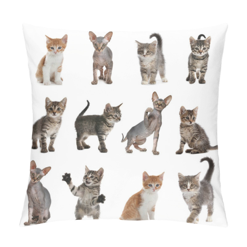 Personality  Different Adorable Kittens On White Background, Collage Pillow Covers