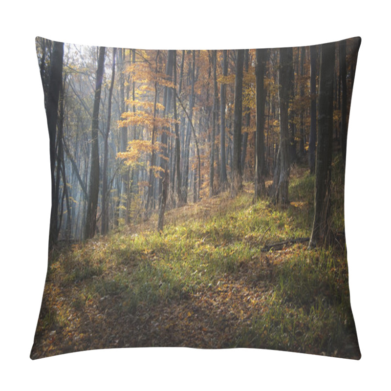 Personality  Autumn Light In Forest Pillow Covers