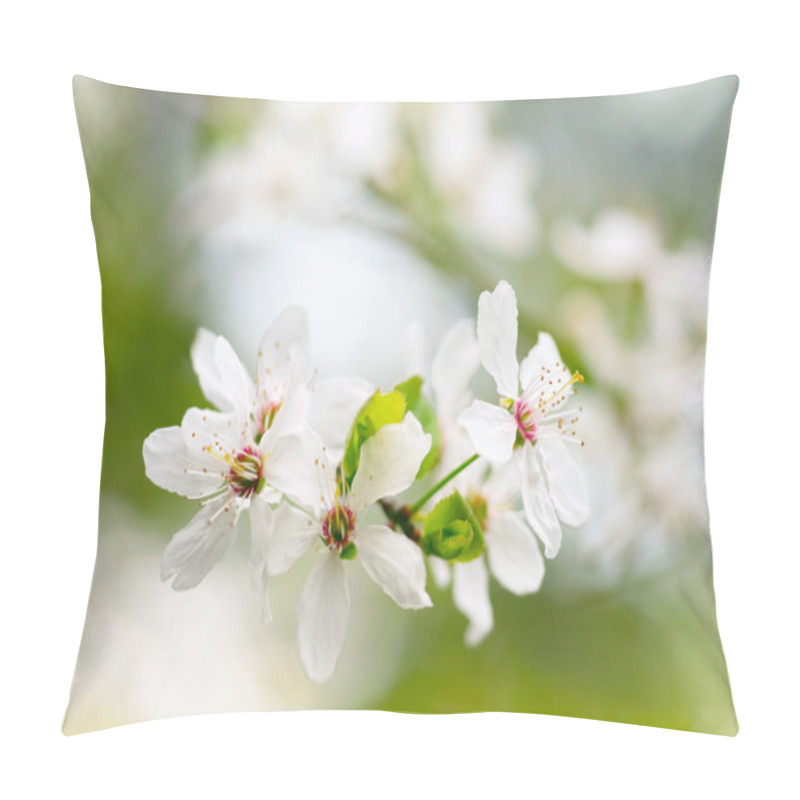 Personality  Spring White Blossoms Pillow Covers