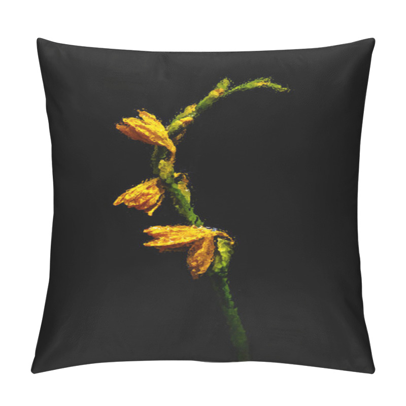 Personality  Close-up View Of Beautiful Wet Orange Lily Flowers And Buds Isolated On Black  Pillow Covers