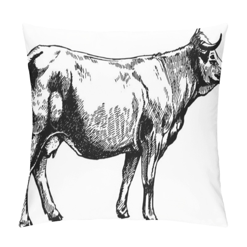 Personality  Vector Graphics Illustration Farm Animals Obrak Cow Design Pillow Covers