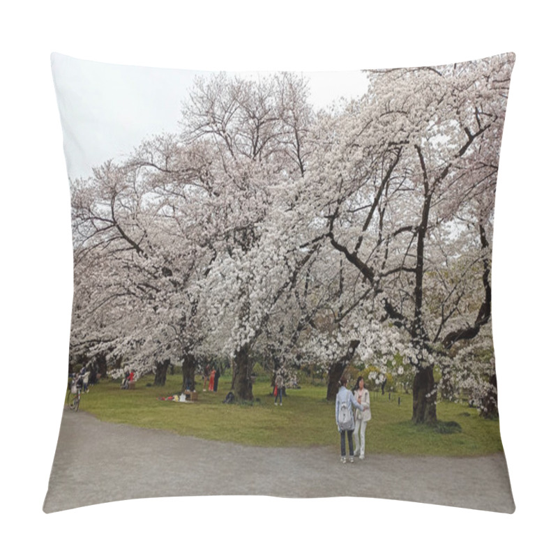 Personality  Koishikawa Botanical Garden In Tokyo, Japan In Spring With Sakura - Japanese Cherry Blossom Trees In Full Bloom Pillow Covers