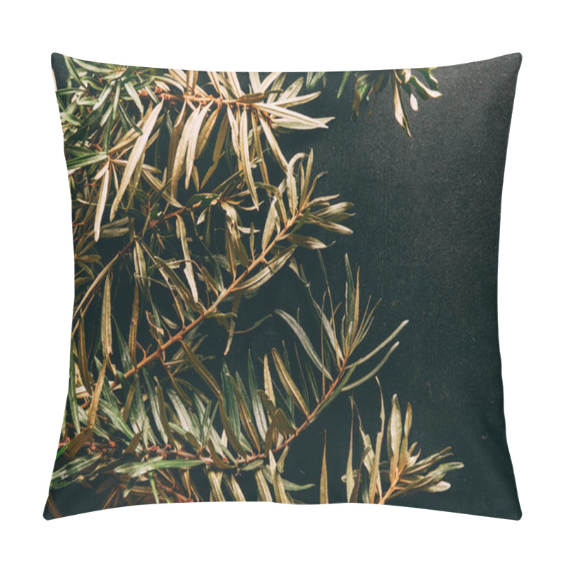 Personality  Flat Lay With Common Sea Buckthorn Branches Arranged On Black Background Pillow Covers