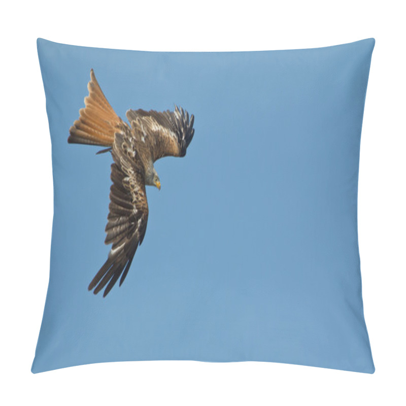 Personality  Red Kite Spotting Prey Pillow Covers