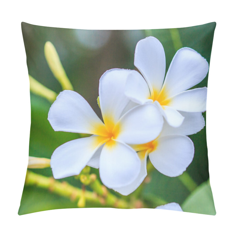 Personality  Plumeria  Flowers On Tree Pillow Covers