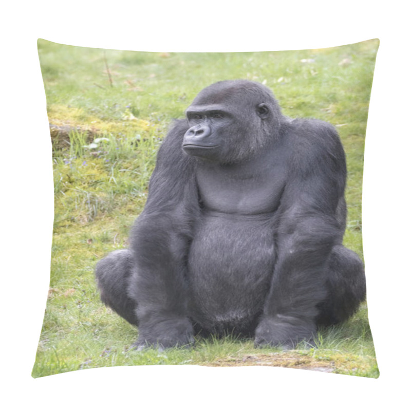 Personality  Young Male Gorilla Close Up Shot Pillow Covers