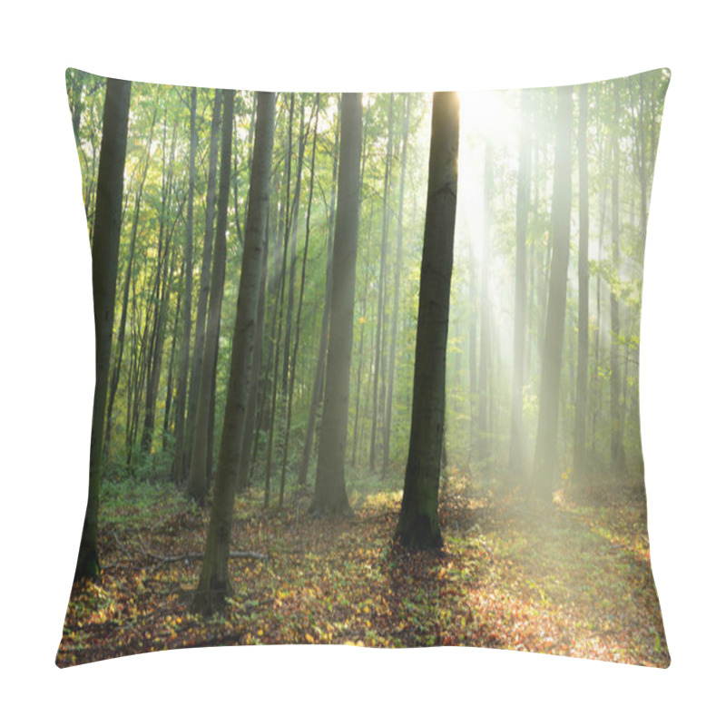 Personality  Beautiful Morning Sunbeams In Misty Forest Pillow Covers