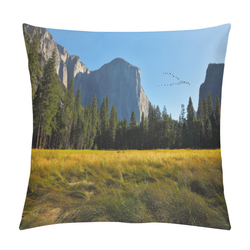 Personality  The Bird's Flight In Yosemite Park. Pillow Covers