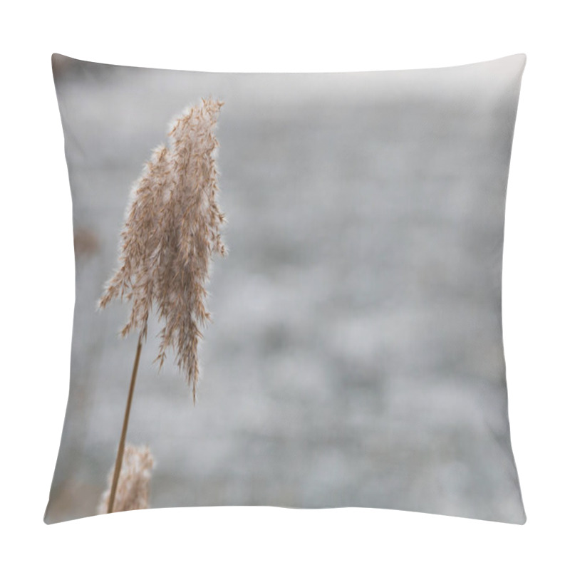 Personality  Reeds Growing Out Of The Water On A Frozen Lake Pillow Covers