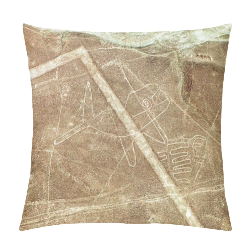 Personality  The Whale, Nazca Mysterious Lines And Geoglyphs Pillow Covers