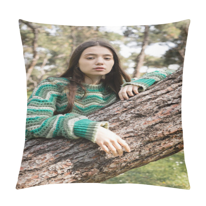 Personality  Young Brunette Woman In Sweater Looking At Camera Near Tree Trunk In Summer Park  Pillow Covers