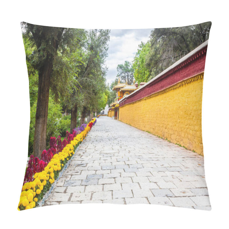 Personality  Norbulingka Dalai Lama Summer Palace, Lhasa, Tibet, Lhasa Pillow Covers