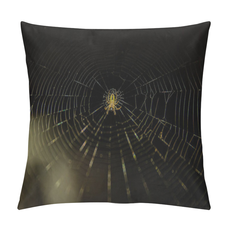 Personality  Spider Web On The Dark Background Pillow Covers