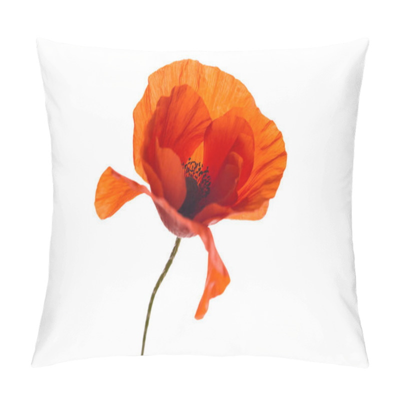 Personality  Red Poppy Flower Isolated On A White Background Pillow Covers