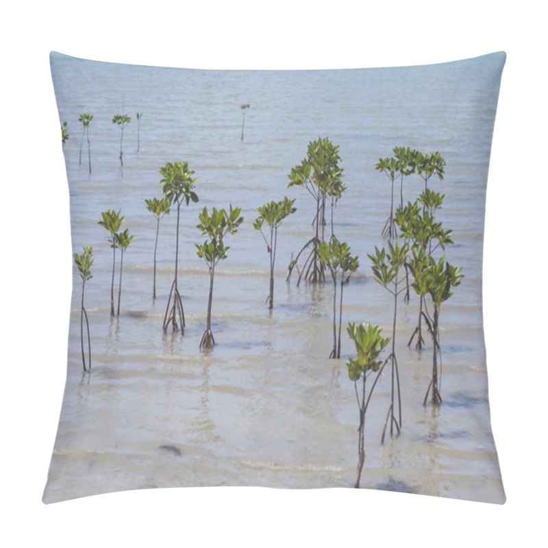 Personality  Water Plants Growing From Under Sea Surface Pillow Covers