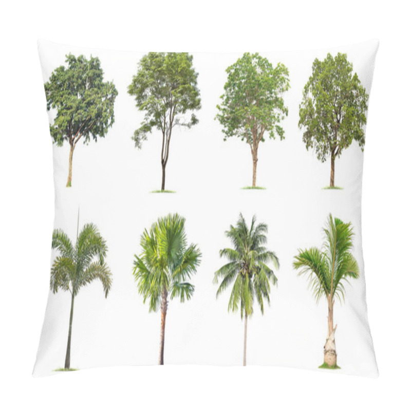 Personality  Isolated Big Tree On White Background ,The Collection Of Trees. Pillow Covers