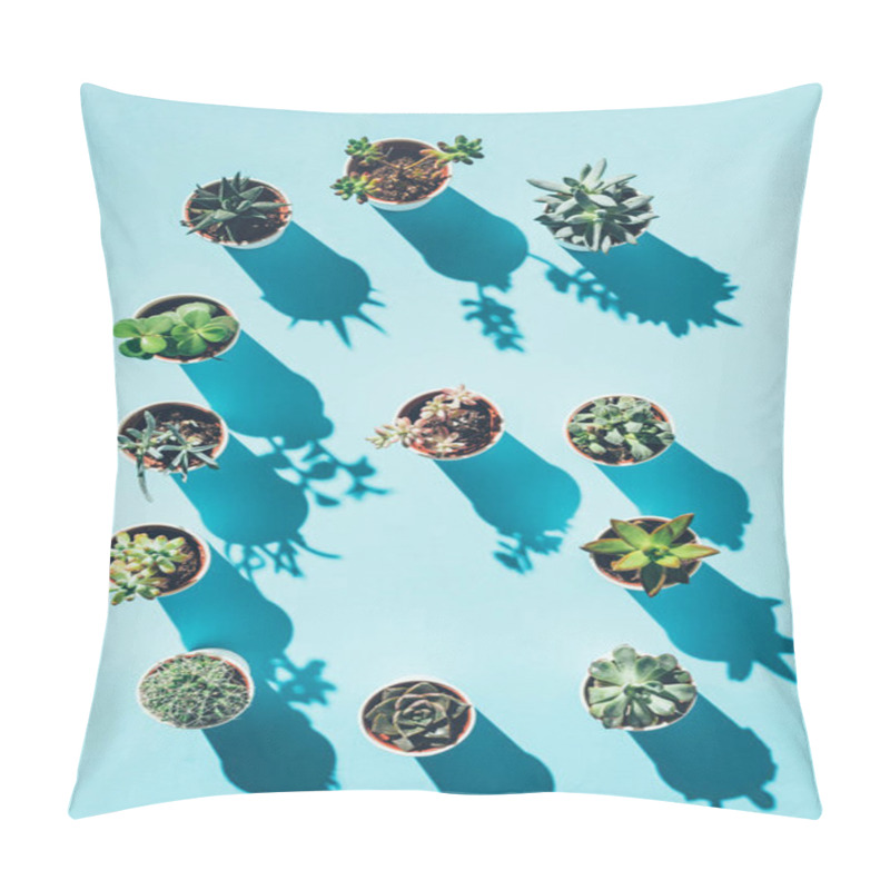 Personality  Top View Of Letter G Made From Green Potted Plants On Blue Pillow Covers