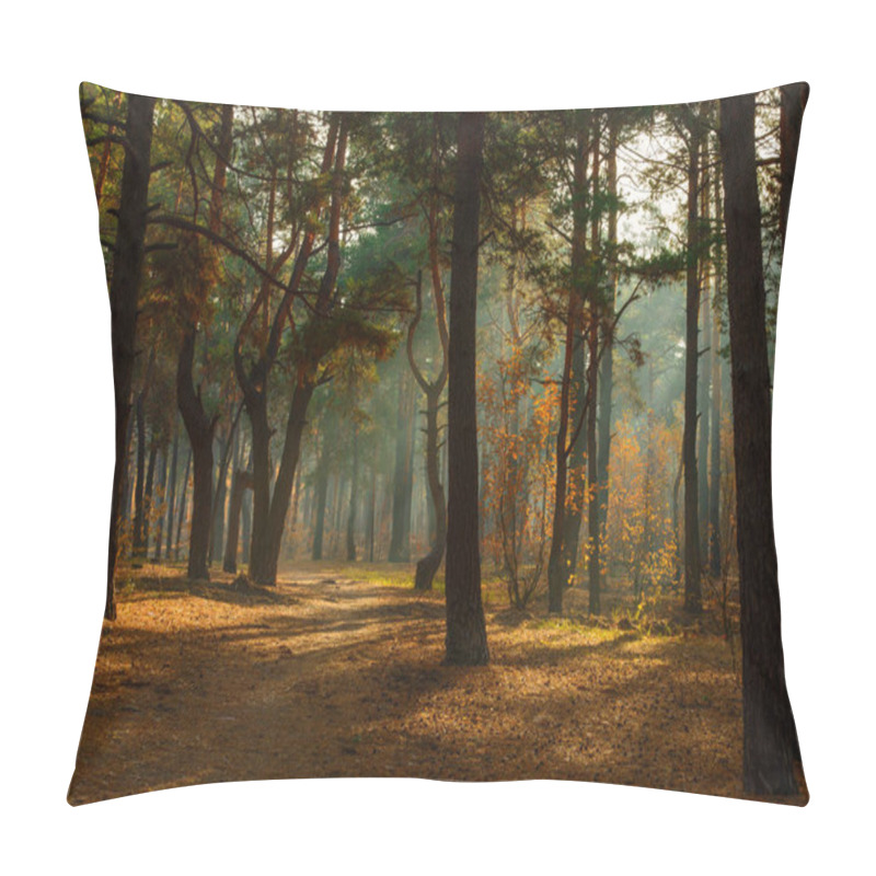 Personality  Walk In The Forest. Morning. Sun Rays. Beauty. Autumn. Pillow Covers