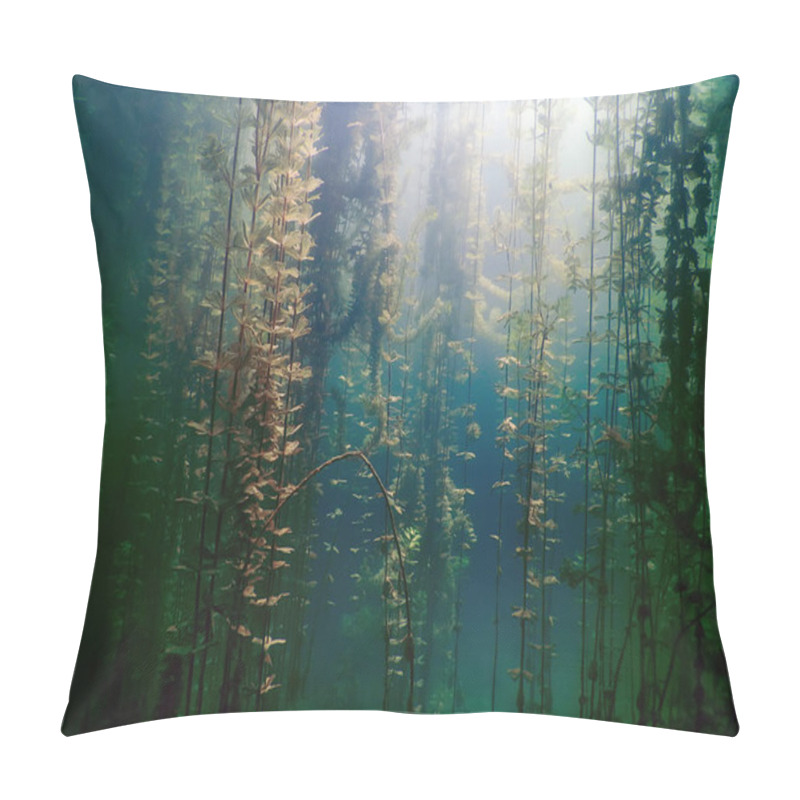 Personality  Underwater Flora. Underwater Plants Rivers, Lakes, Pond. Pillow Covers