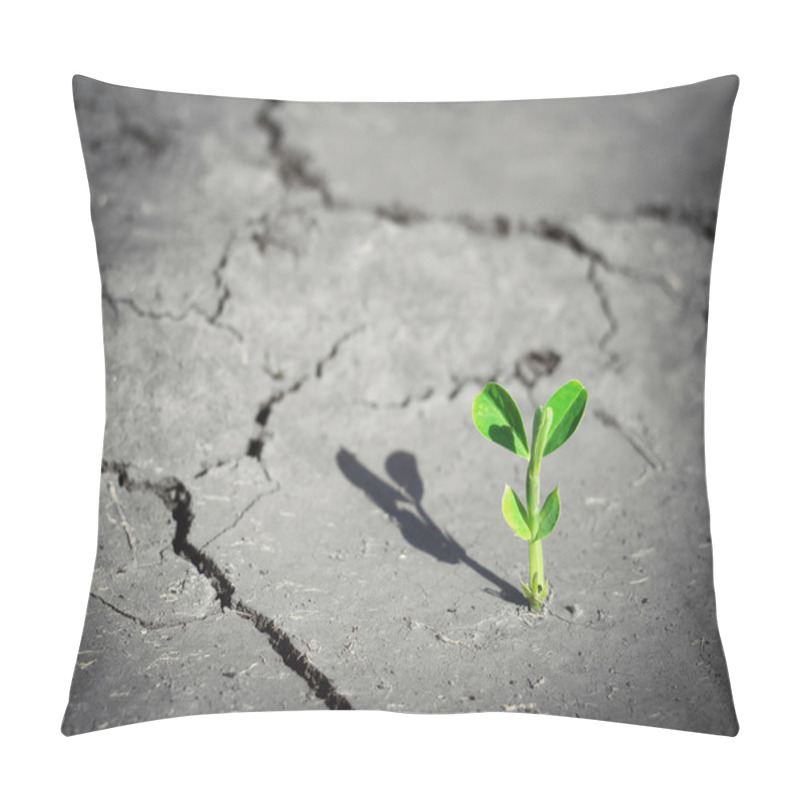 Personality  Small Sprout. Pillow Covers