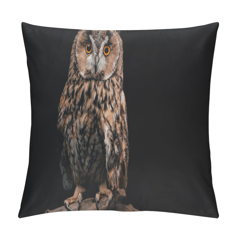 Personality  Cute Wild Owl Sitting On Wooden Branch Isolated On Black Pillow Covers