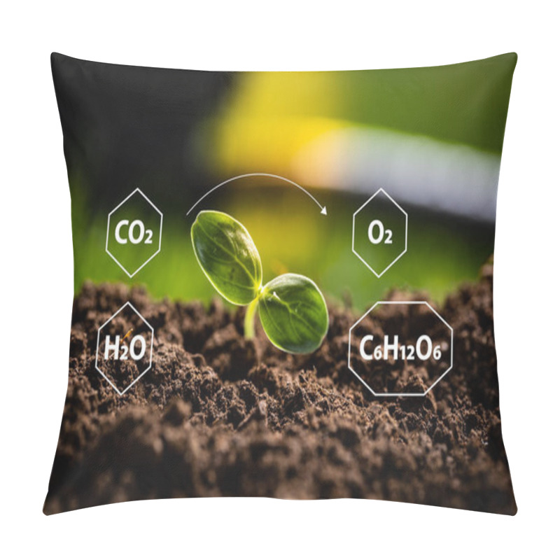 Personality  Young Sprout Used As A Symbol Of Chemical Reactions. Pillow Covers