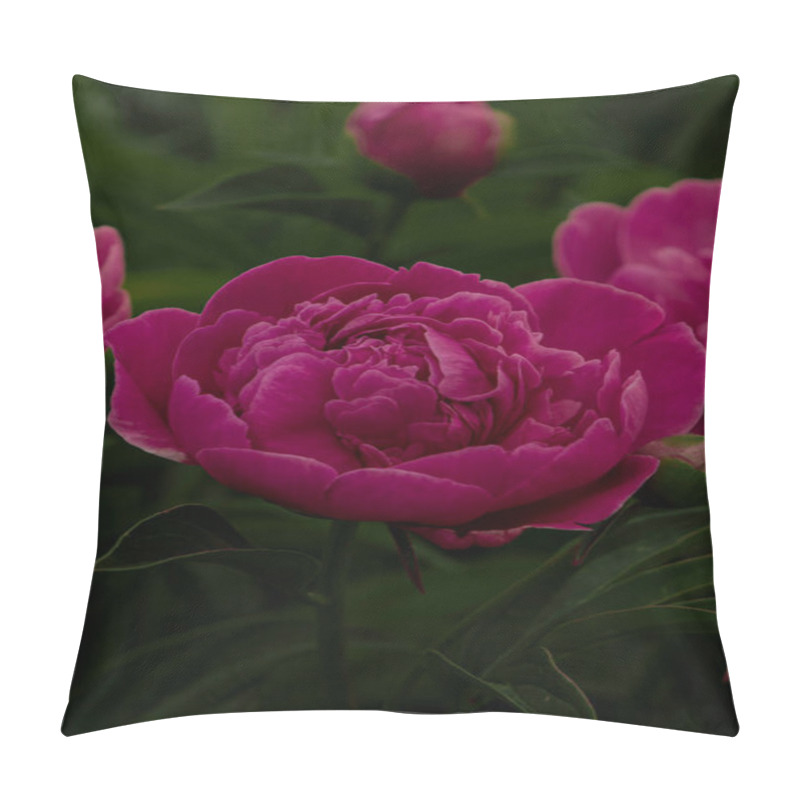 Personality  A Stunning Close-up Of A Pink Peony Flower In Full Bloom, Showcasing Its Soft Petals And Intricate Details. A Perfect Symbol Of Elegance And Natural Beauty. Pillow Covers