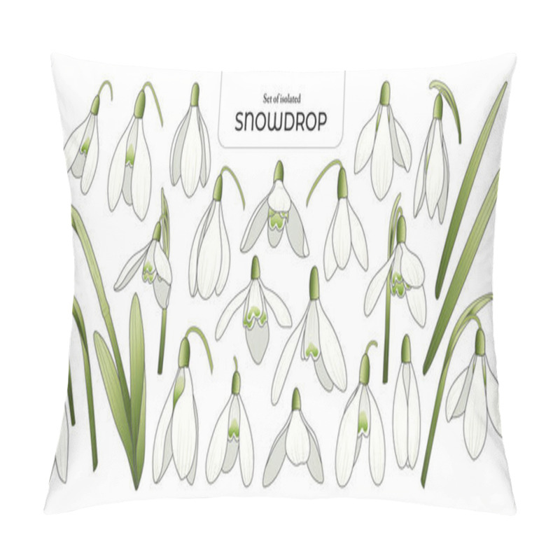 Personality  Set Of Isolated Cute Flower Illustration In Hand Drawn Style. White And Green Color Tones On A White Background. Pillow Covers