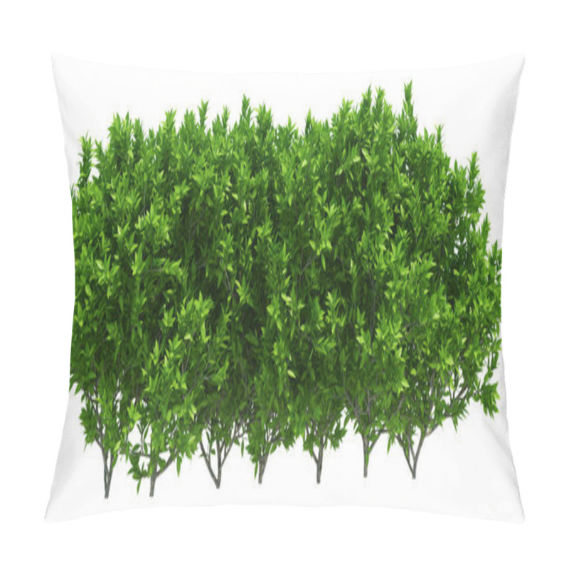 Personality  3d Render Brush Tree Isolated  On White Background Pillow Covers