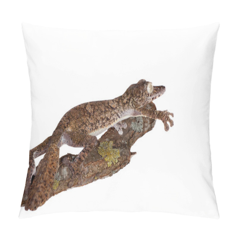 Personality  Giant Leaf Tailed Gecko On White Pillow Covers